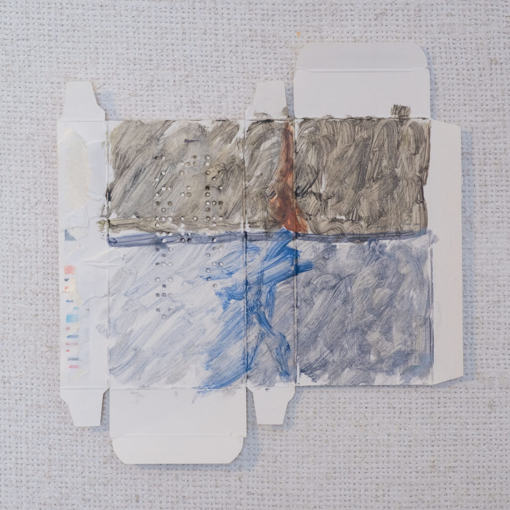 le medicine-cino marraghini-2019