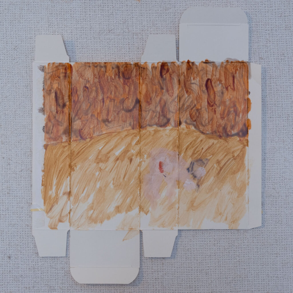 le medicine-cino marraghini-2019